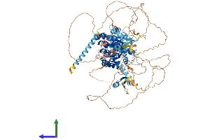 AlphaFold protein structure predicition of Mouse Recombinant Ankle2 Protein, UniprotID Q6P1H6