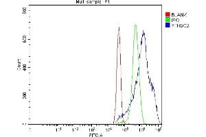Flow Cytometry analysis of MCF-7 cells using anti-YTHDC2 antibody (ABIN7599661). (YTHDC2 anticorps  (AA 105-1231))