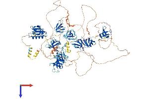 AlphaFold protein structure predicition of Mouse Recombinant Supt5h Protein, UniprotID O55201