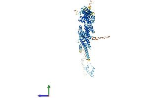 AlphaFold protein structure predicition of Mouse Recombinant Cog2 Protein, UniprotID Q921L5