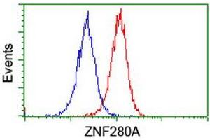 Image no. 3 for anti-Zinc Finger Protein 280A (ZNF280A) (AA 1-333) antibody (ABIN1490749) (ZNF280A anticorps  (AA 1-333))