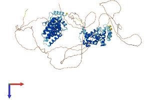 AlphaFold protein structure predicition of Human Recombinant CWC22 Protein, UniprotID Q9HCG8