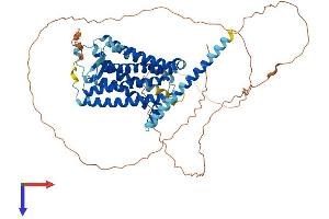 AlphaFold protein structure predicition of Mouse Recombinant Gpr50 Protein, UniprotID O88495