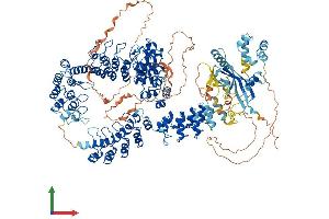 AlphaFold protein structure predicition of Human Recombinant TNKS Protein, UniprotID O95271
