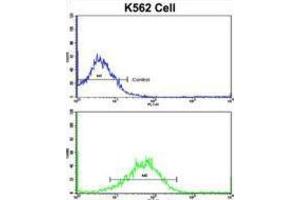 Flow Cytometry (FACS) image for anti-Secreted Frizzled-Related Protein 5 (SFRP5) antibody (ABIN3002916)