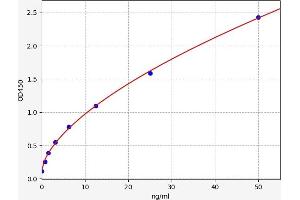 Typical standard curve (CNN2 Kit ELISA)