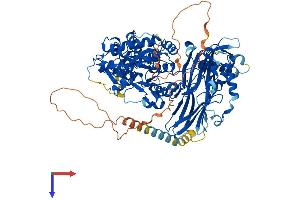 AlphaFold protein structure predicition of Human Recombinant XYLT2 Protein, UniprotID Q9H1B5