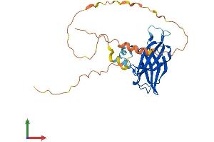 AlphaFold protein structure predicition of Mouse Recombinant Rims4 Protein, UniprotID P60191