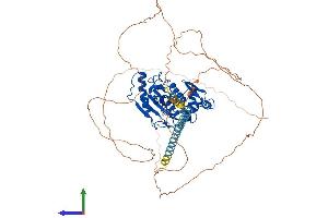 AlphaFold protein structure predicition of Mouse Recombinant Senp1 Protein, UniprotID P59110
