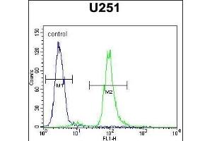 VITRN Antibody (C-term) (ABIN654464 and ABIN2844197) flow cytometric analysis of  cells (right histogram) compared to a negative control cell (left histogram).
