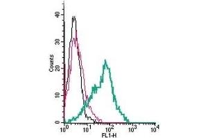 Cell surface detection of NrCAM by indirect flow cytometry in live intact human MEG-01 megakaryocytic leukemia cells:  (black line) Cells.