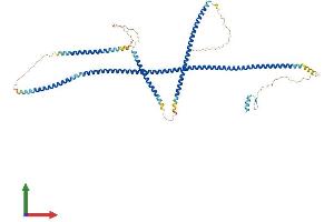 AlphaFold protein structure predicition of Mouse Recombinant Optn Protein, UniprotID Q8K3K8