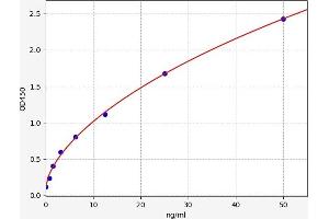 Typical standard curve (GOT2 Kit ELISA)