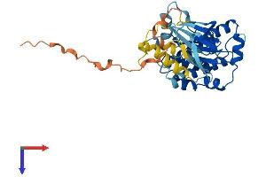 AlphaFold protein structure predicition of Mouse Recombinant Map2k6 Protein, UniprotID P70236