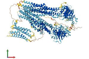 AlphaFold protein structure predicition of Human Recombinant ABCC10 Protein, UniprotID Q5T3U5
