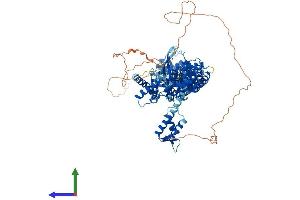 AlphaFold protein structure predicition of Human Recombinant CUL4B Protein, UniprotID Q13620