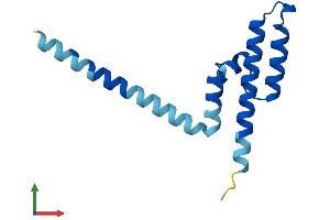 AlphaFold protein structure predicition of Human Recombinant PAM16 Protein, UniprotID Q9Y3D7