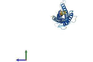 AlphaFold protein structure predicition of Human Recombinant CLDN22 Protein, UniprotID Q8N7P3