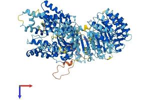 AlphaFold protein structure predicition of Human Recombinant NLRC4 Protein, UniprotID Q9NPP4
