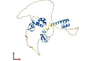 AlphaFold protein structure predicition of Human Recombinant RNF34 Protein, UniprotID Q969K3