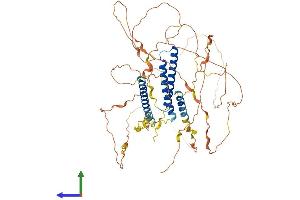 AlphaFold protein structure predicition of Human Recombinant CCDC120 Protein, UniprotID Q96HB5