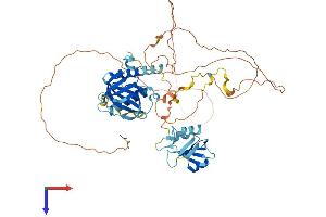 AlphaFold protein structure predicition of Human Recombinant SHC1 Protein, UniprotID P29353