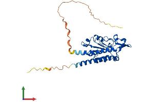 AlphaFold protein structure predicition of Mouse Recombinant Mrps2 Protein, UniprotID Q924T2