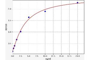 Typical standard curve (C1QTNF2 Kit ELISA)