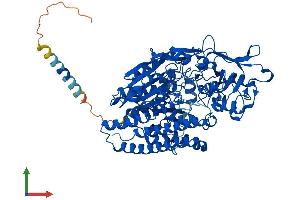 AlphaFold protein structure predicition of Human Recombinant FOLH1 Protein, UniprotID Q04609