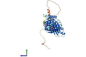 AlphaFold protein structure predicition of Human Recombinant THUMPD3 Protein, UniprotID Q9BV44