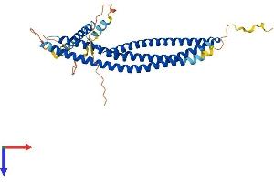 AlphaFold protein structure predicition of Mouse Recombinant Arfip2 Protein, UniprotID Q8K221