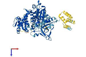 AlphaFold protein structure predicition of Mouse Recombinant Slc27a5 Protein, UniprotID Q4LDG0