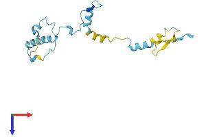 AlphaFold protein structure predicition of Mouse Recombinant Mphosph6 Protein, UniprotID Q9D1Q1