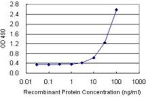 Sandwich ELISA detection sensitivity ranging from 3 ng/mL to 100 ng/mL. (TAGLN (Humain) Matched Antibody Pair)