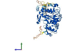 AlphaFold protein structure predicition of Human Recombinant GCNT7 Protein, UniprotID Q6ZNI0