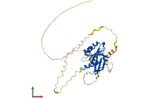 AlphaFold protein structure predicition of Mouse Recombinant Rem2 Protein, UniprotID Q8VEL9