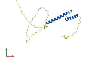 AlphaFold protein structure predicition of Mouse Recombinant Ascl3 Protein, UniprotID Q9JJR7