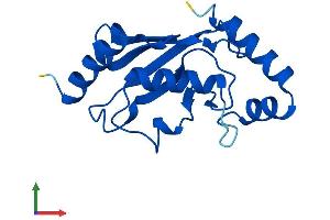 AlphaFold protein structure predicition of Human Recombinant UBE2B Protein, UniprotID P63146