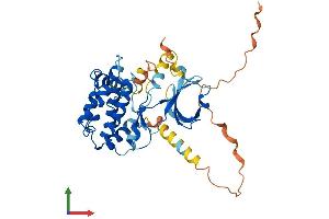 AlphaFold protein structure predicition of Human Recombinant CAMK1 Protein, UniprotID Q14012