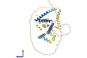 AlphaFold protein structure predicition of Human Recombinant ZNF821 Protein, UniprotID O75541