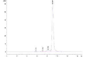 The purity of Human FGL2 is greater than 90 % as determined by SEC-HPLC.