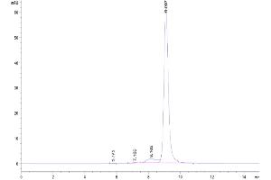 The purity of Human FGL2 is greater than 90 % as determined by SEC-HPLC. (FGL2 Protein (AA 205-439) (His-Avi-DYKDDDDK Tag))