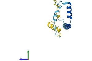 AlphaFold protein structure predicition of Human Recombinant LIN52 Protein, UniprotID Q52LA3