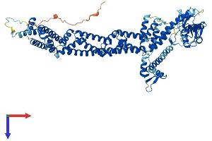 AlphaFold protein structure predicition of Human Recombinant CUL4A Protein, UniprotID Q13619