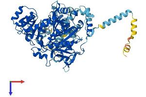 AlphaFold protein structure predicition of Mouse Recombinant Acsl6 Protein, UniprotID Q91WC3