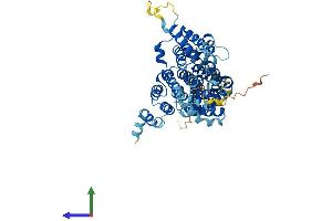 AlphaFold protein structure predicition of Human Recombinant SLC13A2 Protein, UniprotID Q13183