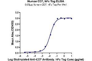 Immobilized Human CD7, hFc Tag at 0. (CD7 Protein (CD7) (AA 26-180) (Fc Tag))