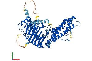 AlphaFold protein structure predicition of Mouse Recombinant Fto Protein, UniprotID Q8BGW1