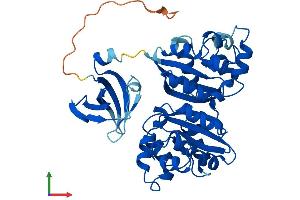 AlphaFold protein structure predicition of Mouse Recombinant Nme7 Protein, UniprotID Q9QXL8