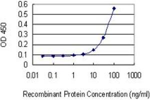 Detection limit for recombinant GST tagged ZEB1 is 3 ng/ml as a capture antibody. (ZEB1 anticorps  (AA 801-900))